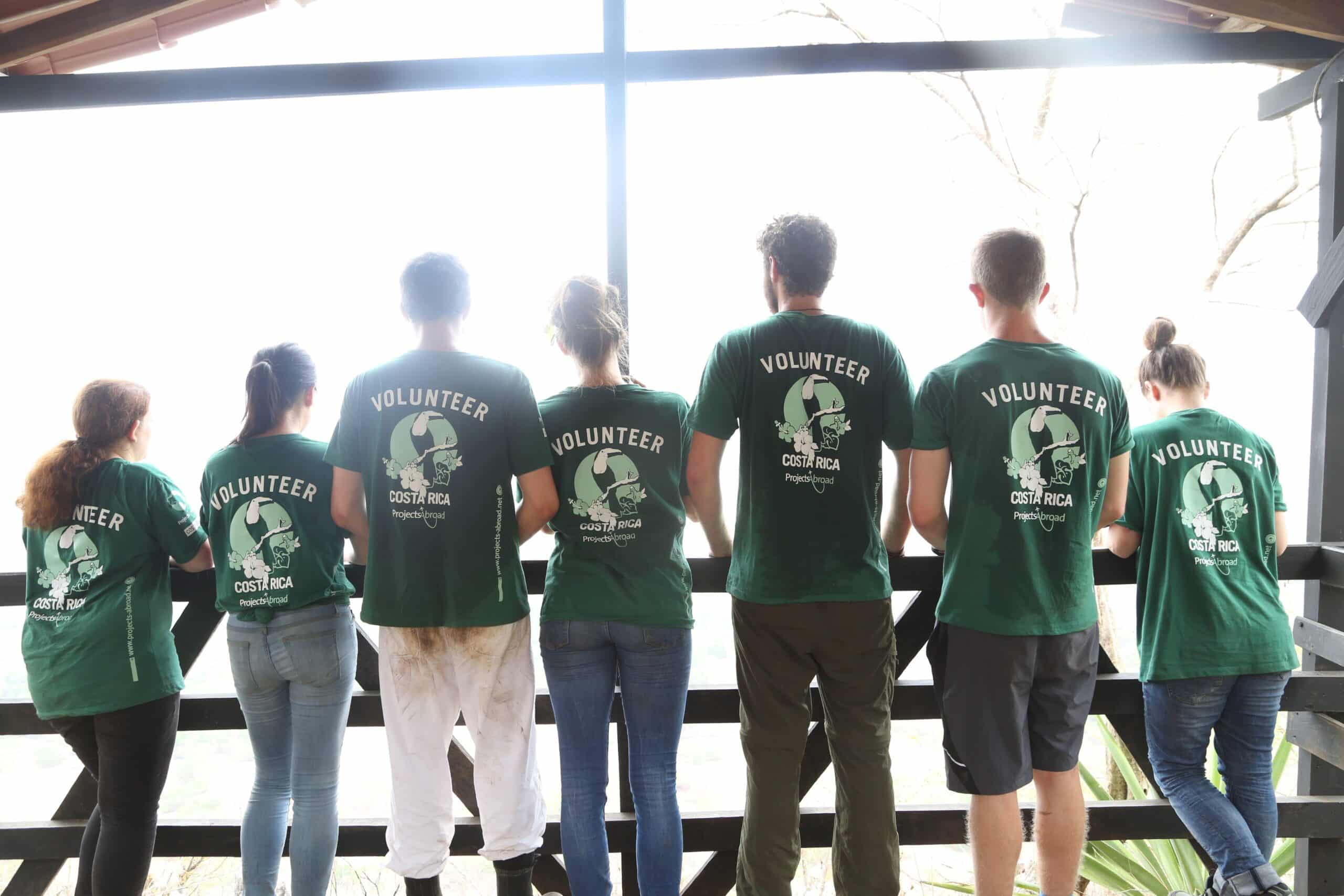 A group of volunteers in Barra Honda National Park out into the forest as the sun shines brightly ahead of them