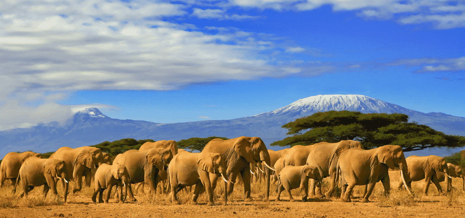 10 Top-Rated Bucket List Destinations