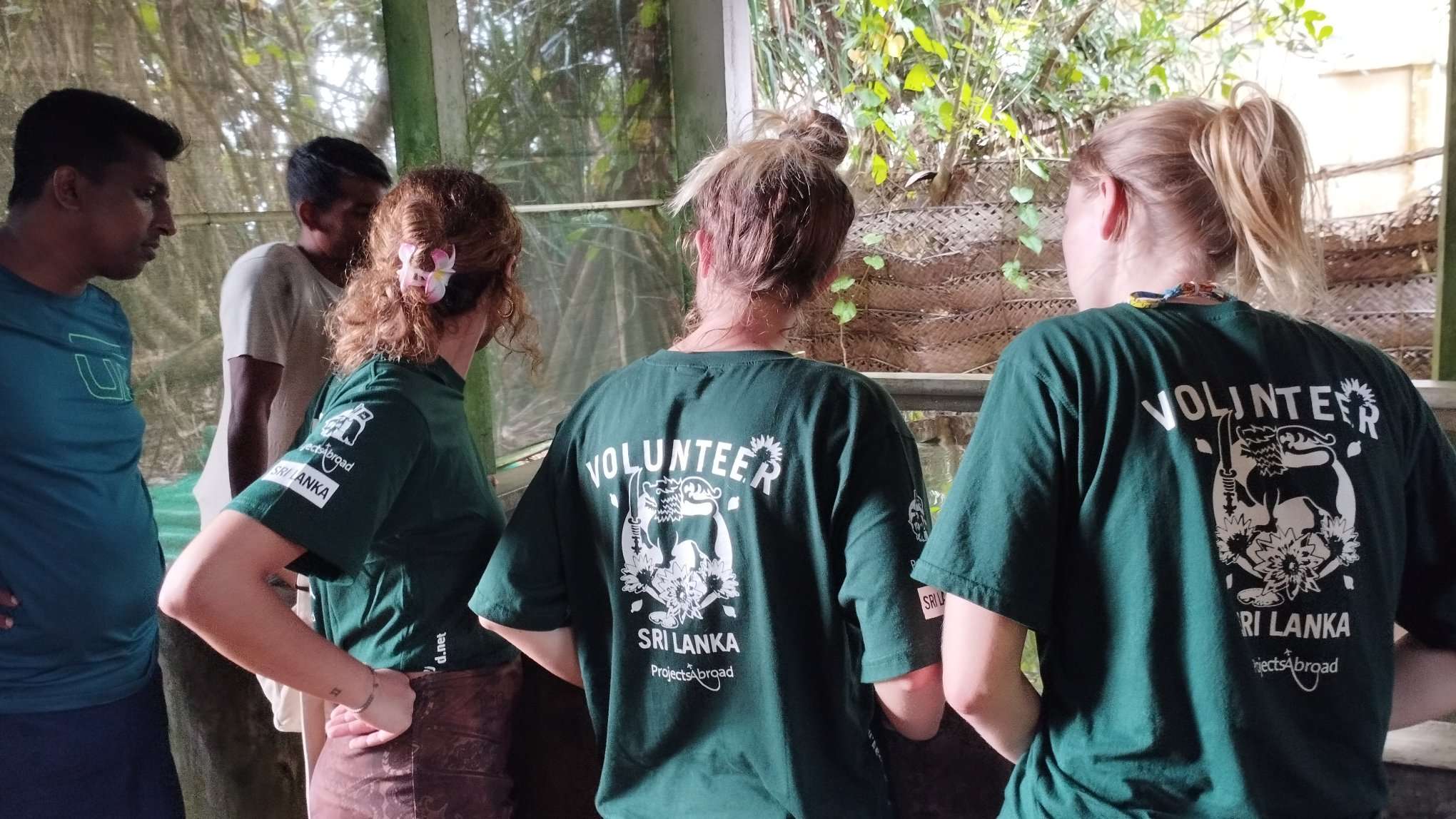 Maintain the sea turtle tanks at the rehabilitation center