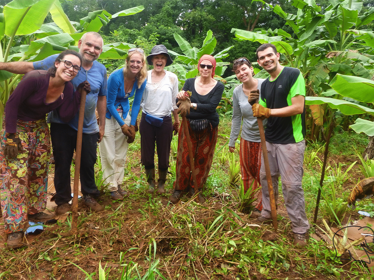 A group of seven smiling volunteers stands together in a muddy field surrounded by lush green banana plants at an elephant project in Cambodia. Several members of the group lean on long wooden shovel or tool handles, dressed in casual work clothes and boots.