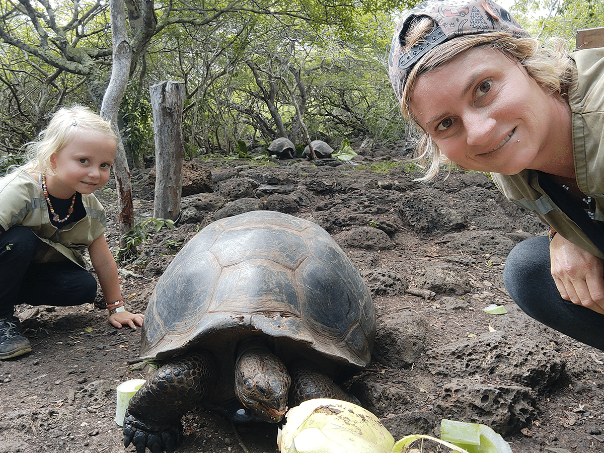 A woman wearing a backwards baseball cap and a young blonde girl crouch on either side of a large Galapagos giant tortoise on a rocky, dirt path. The woman looks toward the camera with a smile, while the tortoise eats pieces of green vegetation on the ground in front of it. In the background, two more tortoises are visible among dense trees and volcanic rocks.