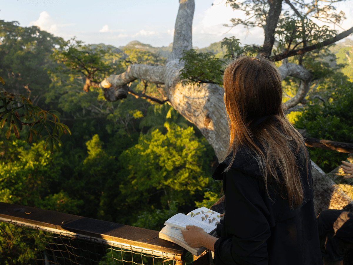 A woman with long hair stands on an elevated observation deck, looking out over a lush, dense rainforest canopy in Peru. She holds an open bird identification field guide, with a large, thick tree branch stretching across the warm, sunlit landscape.